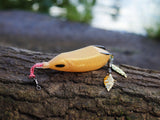 Snek Frog