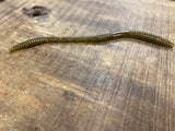 BCT "My Baits" 7.5" FINESSE TRICK WORM