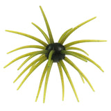 Hag's Prickly Pear