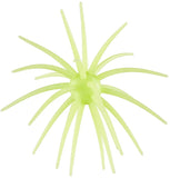 Hag's Prickly Pear