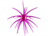 Queen Porcupine Balls