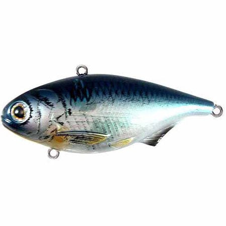 LIVETARGET Gizzard Shad