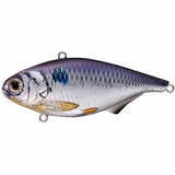 LIVETARGET Gizzard Shad