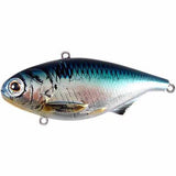 LIVETARGET Gizzard Shad